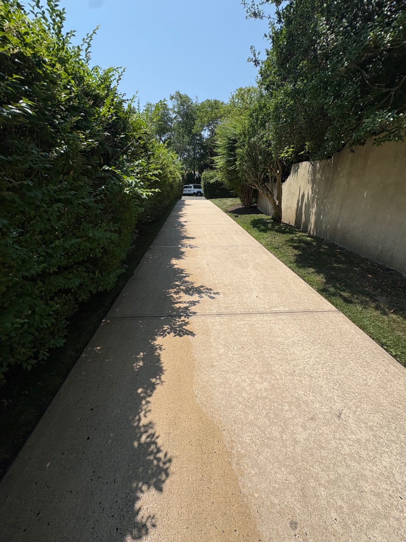 Concrete walkway cleaning
