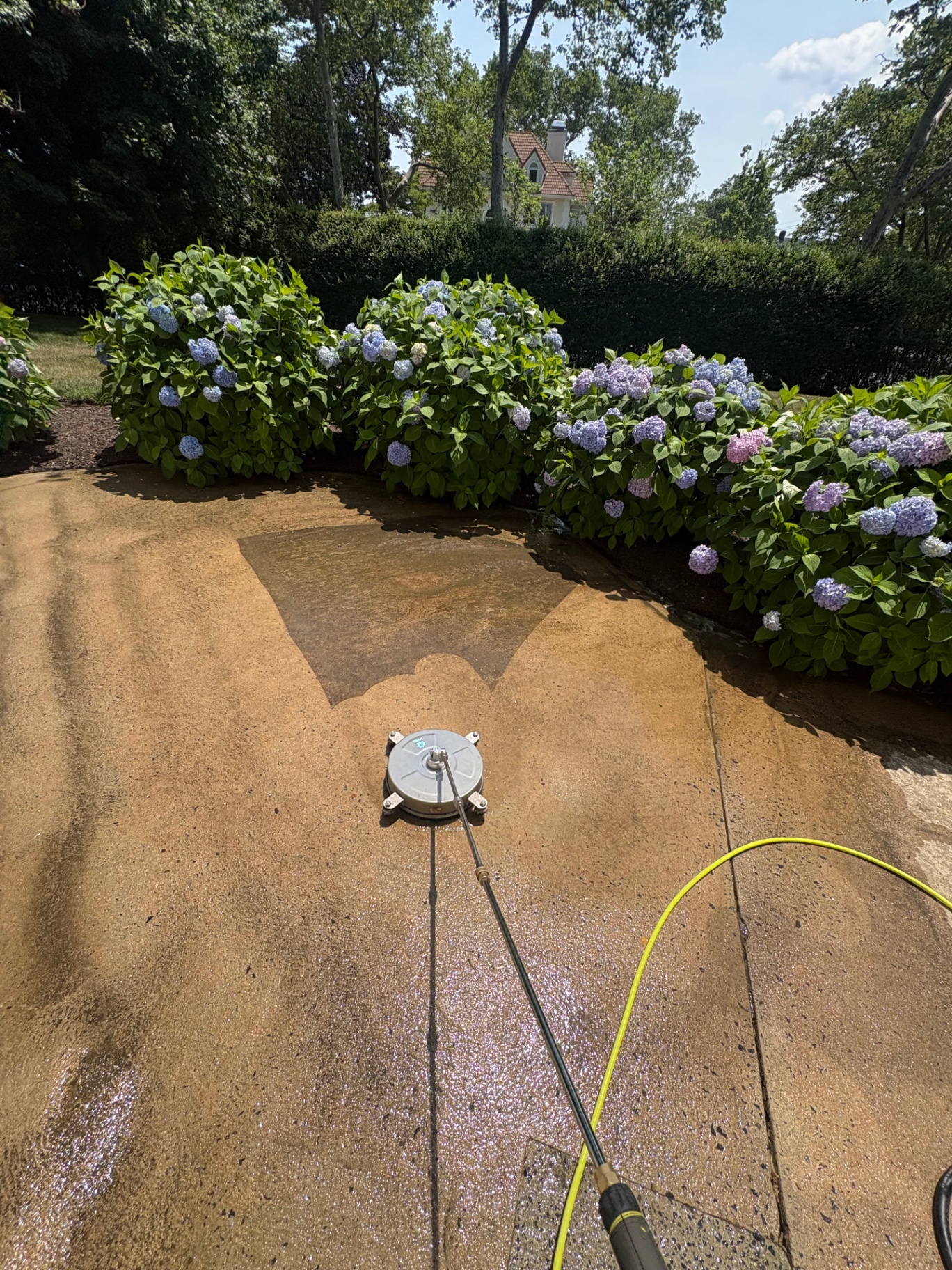 Driveway before pressure washing